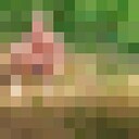  ,   , 37 ,     , c 