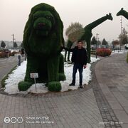  ,   Axmad, 28 ,   , 