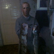 ���������� ���������, ���� ������� Dima, 42 ����, ������������ ��� ������, ����� � ���������, c�������� ���������