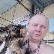  ,   , 51 ,     , 