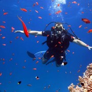 ���������� ������, ���� ������� �������, 31 ���, ������������ ��� ������, ����� � ���������