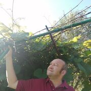 ���������� ������, ���� ������� ���������, 46 ���, ������������ ��� ������, ����� � ���������, c�������� ���������, ���������