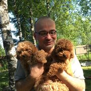 ���������� ������, ���� ������� �����, 42 ����, ������������ ��� ����� � ���������, c�������� ���������, ���������