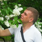  -,   , 41 ,   ,   , c 
