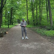  ,  , 33