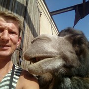  ,   , 52 ,  
