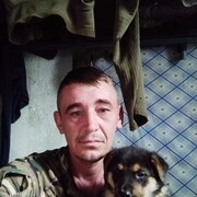 ���������� ����, ���� ������� Badrik, 41 ���, ������������ ��� ������, ����� � ���������, c�������� ���������