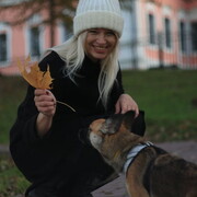 ���������� ������, ���� ������� �������, 40 ���, ������������ ��� ������