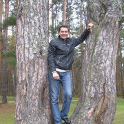  ,   , 46 ,   