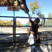 ���������� ������, ���� ������� �����, 42 ����, ������������ ��� ������, ����� � ���������, c�������� ���������