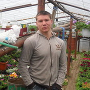  ,   Tudor, 33 ,   ,   , c 