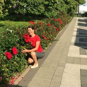  -,   , 46 ,   ,   , c 