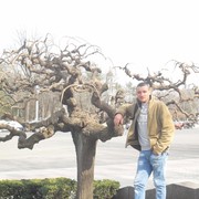  ,   Tolea, 35 ,   ,   , c 