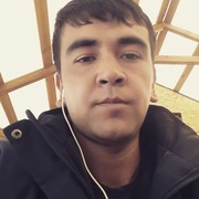  ,   SHUNQOR UZB, 31 ,   ,   , c 