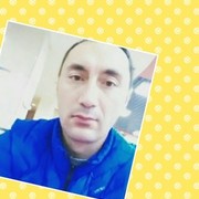  -,  , 43