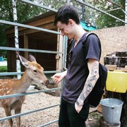  ,   , 29 ,   