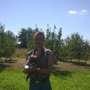 ���������� ������, ���� ������� ������, 50 ���, ������������ 