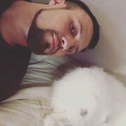 ���������� ������, ���� ������� ������, 36 ���, ������������ ��� ������, ����� � ���������, ���������