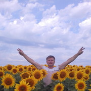  ,   , 51 ,   