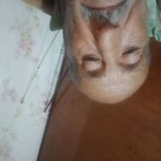  -,   , 76 ,   c 