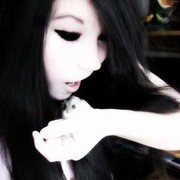 ���������� ������, ���� ������� ���������, 33 ����, ������������ 