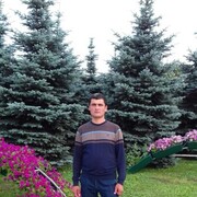 ���������� ����������, ���� ������� ������, 41 ���, ������������ ��� ������, ����� � ���������