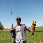  ,   Dima, 36 ,   ,   , c 