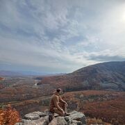 ���������� �����������, ���� ������� �������, 29 ���, ������������ ��� ������, ����� � ���������