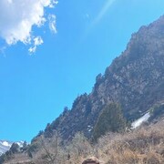  ,   Dzhoni, 28 ,   ,   , c 