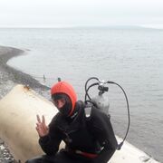 ���������� �����������, ���� ������� ���������, 33 ����, ������������ ��� c�������� ���������