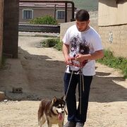 ���������� ����, ���� ������� Bashir, 37 ���, ������������ ��� ������, ����� � ���������