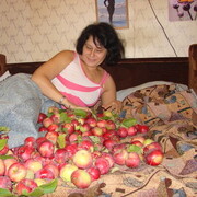  ,   , 52 ,   ,   