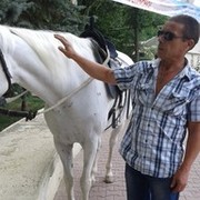  --,    , 57 ,   ,   , c 
