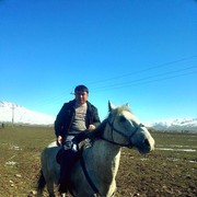  ,   Shavkat, 40 ,   ,   , c , 