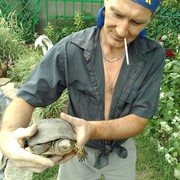  --,   , 53 ,   ,   , c 