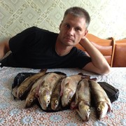  ,   , 51 ,   ,   , c 