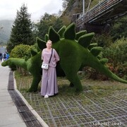  ,   , 52 ,   ,   , c , 