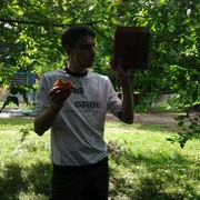 ���������� �������, ���� ������� �����, 41 ���, ������������ ��� ������, ����� � ���������, c�������� ���������