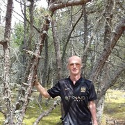  ,   , 55 ,   