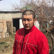  ,   Adis, 32 ,   
