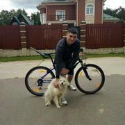 ���������� ������, ���� ������� ���������, 29 ���, ������������ ��� ������, ����� � ���������