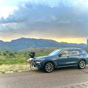 ���������� �����, ���� ������� �����, 32 ����, ������������ ��� ������, ����� � ���������, c�������� ���������