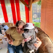 ���������� ���������, ���� ������� �����, 35 ���, ������������ ��� ������, ����� � ���������