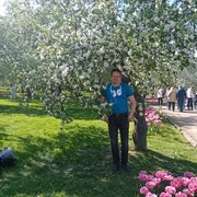  ,     , 43 ,   ,   , c 