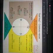 ���������� ������, ���� ������� Hasan, 47 ���, ������������ ��� ������, ����� � ���������