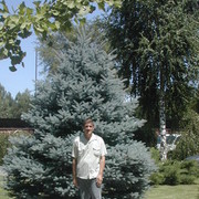  ,   , 58 ,   