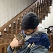 ���������� �������, ���� ������� Nozim, 29 ���, ������������ ��� ������, ����� � ���������