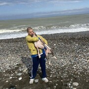 ���������� ������, ���� ������� ����, 33 ����, ������������ ��� ������, ����� � ���������, c�������� ���������