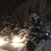 ���������� ������, ���� ������� �����, 37 ���, ������������ ��� ������, ����� � ���������