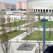 ���������� �����������, ���� ������� ������, 39 ���, ������������ ��� ������, ����� � ���������